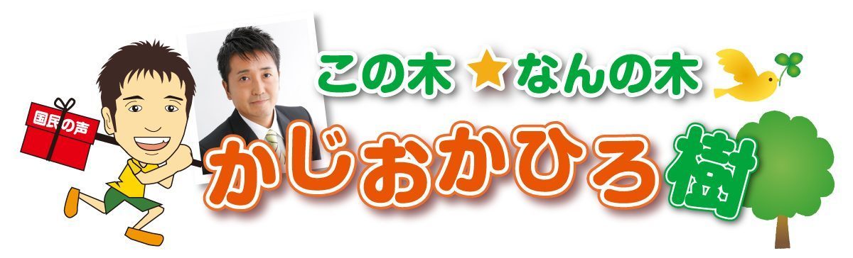 リベラルの対義語とは 梶岡博樹 立憲民主党 衆議院 茨城3区 この木なんの木かじおか博樹