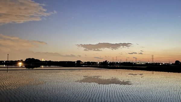 逆アンコール・ワット