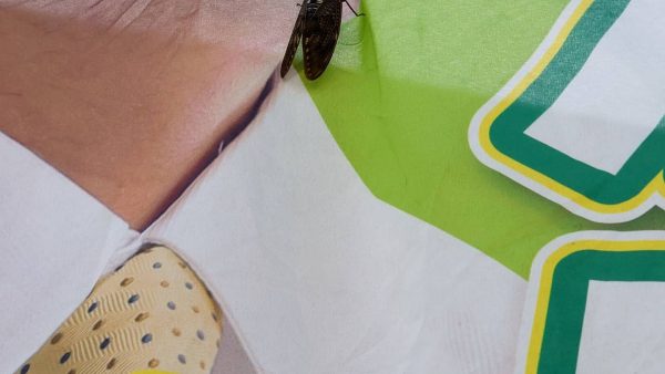 広島原爆の日を迎えて