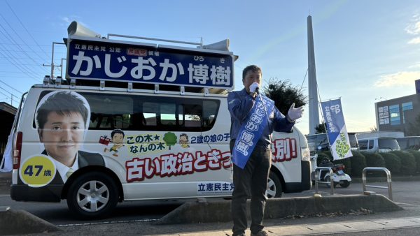【守谷市】立沢公園