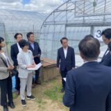 龍ケ崎市の横田農場を視察する三党合同農林水産部会